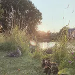 L'erable Normand * Bretteville-l'Orgueilleuse