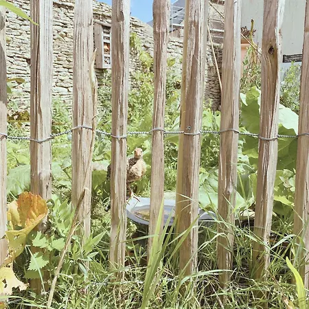 L'erable Normand * Bretteville-l'Orgueilleuse