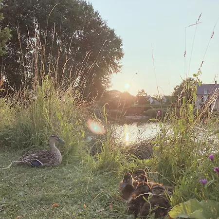 L'erable Normand * Bretteville-l'Orgueilleuse