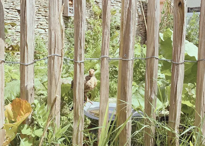 L'erable Normand * Bretteville-l'Orgueilleuse