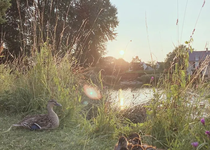 L'erable Normand * Bretteville-l'Orgueilleuse